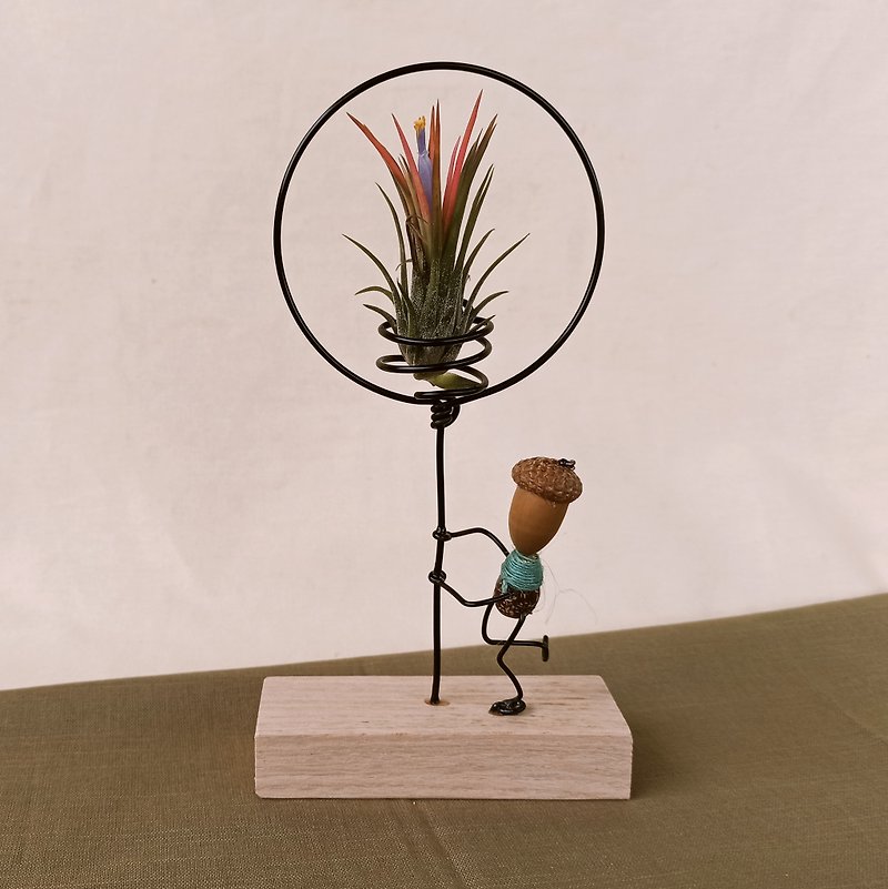 【Air Pineapple Balloon】North American Red Oak Empty Pineapple Frame - Plants - Other Materials Black
