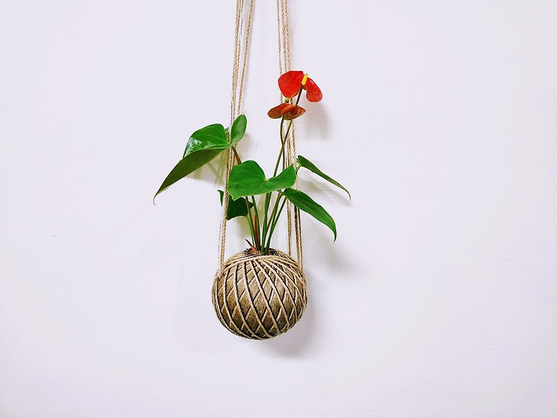 Red Flamingo Moss Ball│Home Decoration│Window Plant - Plants - Plants & Flowers Red