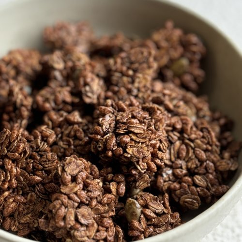 GRANOLA GAGA 穀卡卡 穀卡卡蛋白【摩卡】燕麥脆片