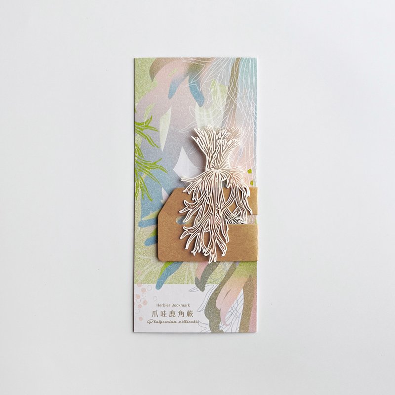 Fern Herbier Papercraft 3.0 - Platycerium willinckii - Bookmarks - Paper White