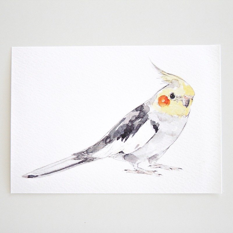 ‧ ‧ million birds postcard card ‧0026 - การ์ด/โปสการ์ด - กระดาษ 