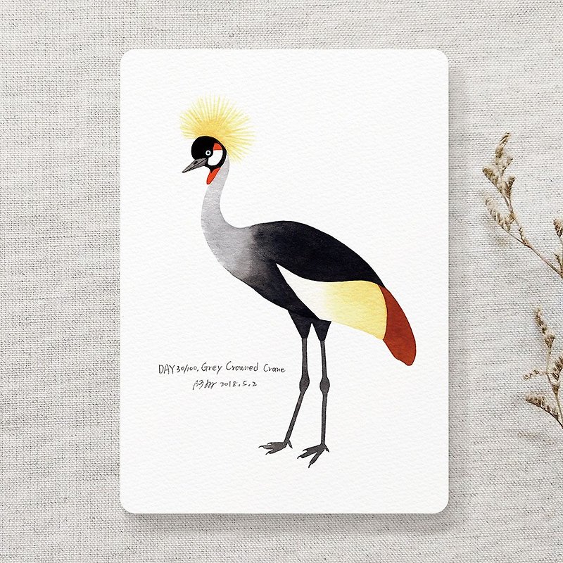 Grey Crowned Crane Postcard - การ์ด/โปสการ์ด - กระดาษ สีดำ