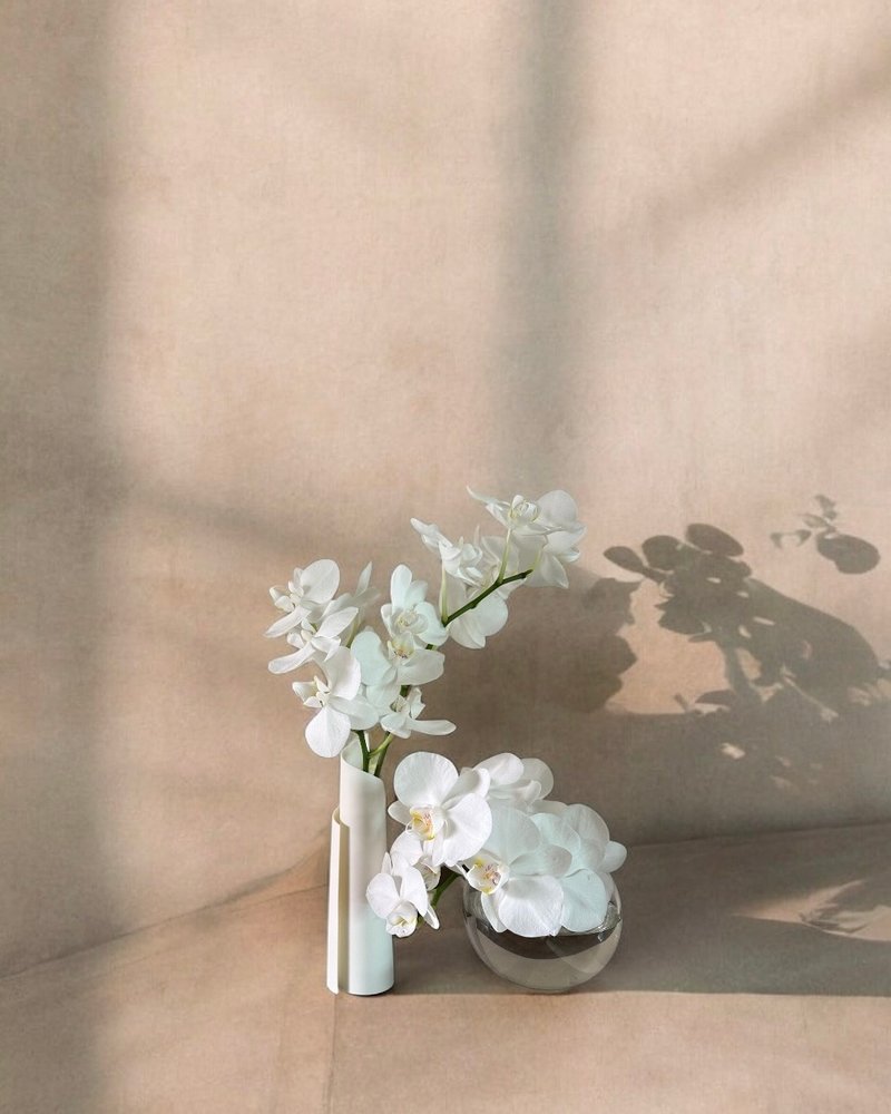 Serene 3D列印 卷影花瓶 - 花瓶/花器 - 其他材質 白色