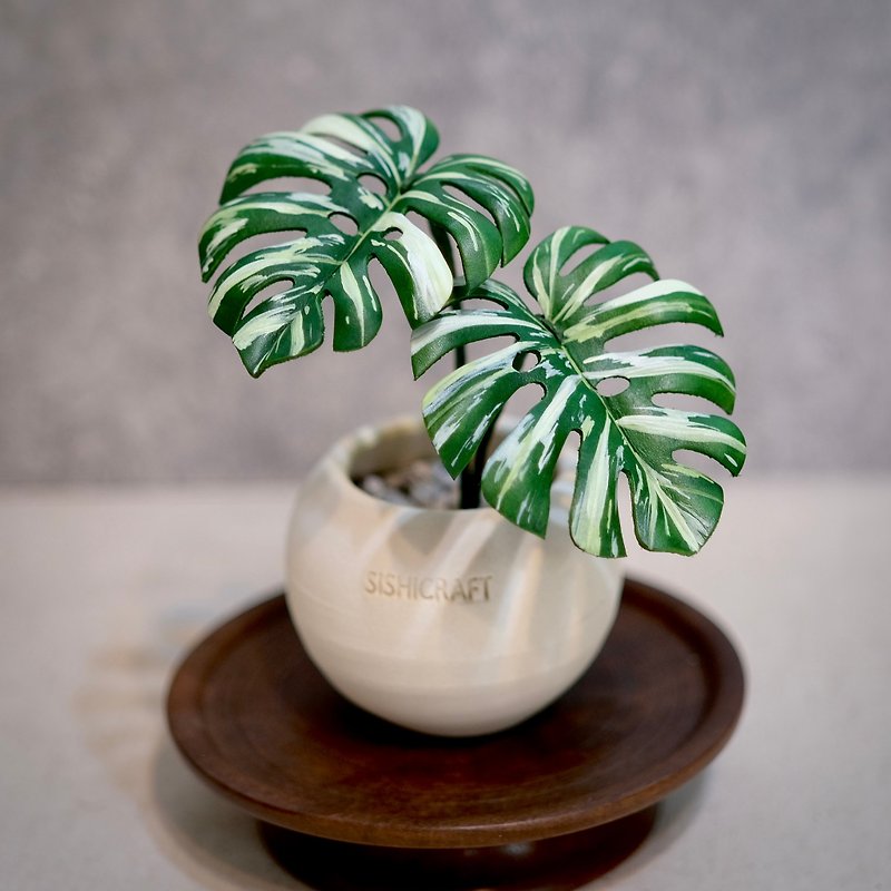 White-spotted turtle-backed taro－a small potted plant made of handmade leather as a gift - Plants - Genuine Leather 