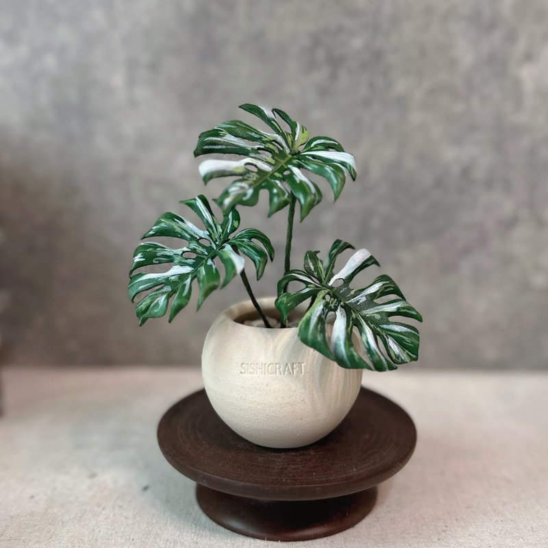 白斑龜背芋－手工革製小盆栽 送禮 - 植栽/盆栽 - 真皮 