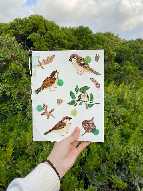 園丁鳥 bowerbird 樹麻雀觀察記 麻雀初印象 樹麻雀貼紙第一集 透明 日本和紙