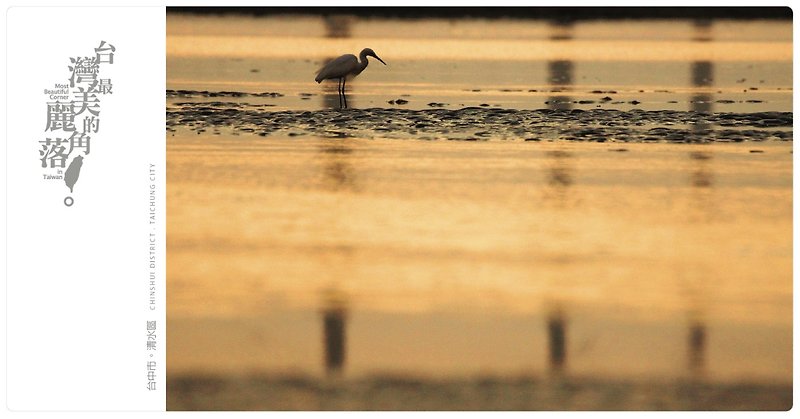 Taiwan's most beautiful corner postcard-the egret on the Gaomei wetland - การ์ด/โปสการ์ด - กระดาษ ขาว