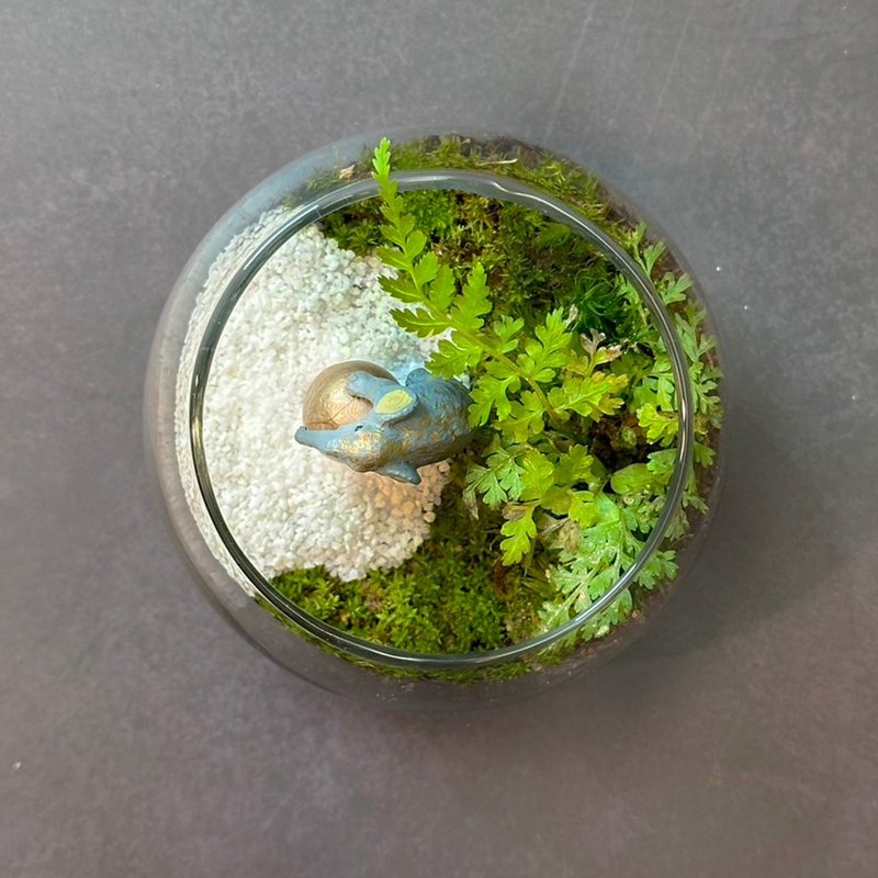 Super mini palm-sized handmade micro-landscape eco-pot – Elephant Circus - ตกแต่งต้นไม้ - พืช/ดอกไม้ 