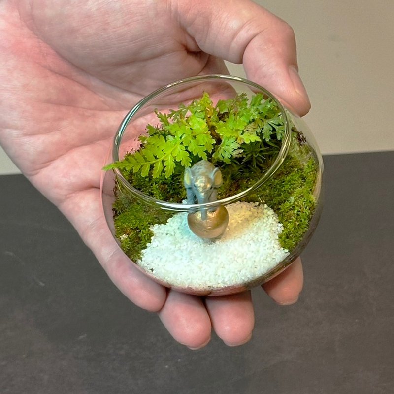 大象馬戲團 / 超迷你掌上型手工微景觀生態盆 - 盆栽/植栽 - 植物．花 
