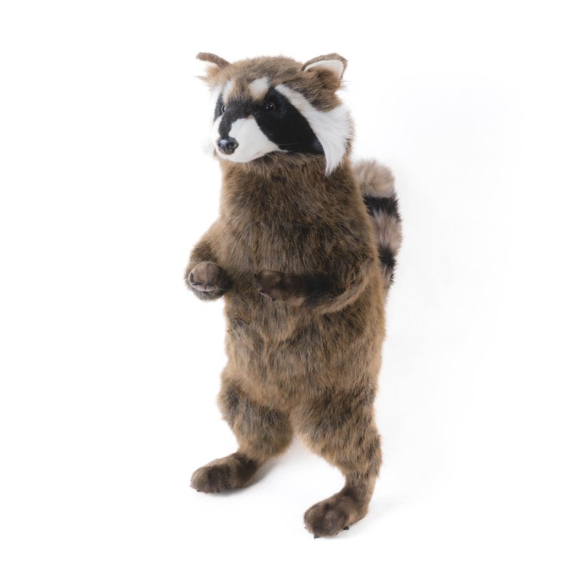 Hansa 8412-Raccoon standing 65 cm long - ตุ๊กตา - วัสดุอีโค สีนำ้ตาล