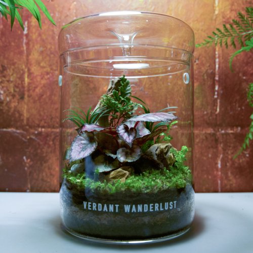 景觀丸藝 Verdant Wanderlust 【生態瓶-棠・暮】微景觀 集露瓶 室內植栽 禮物 辦公室擺設