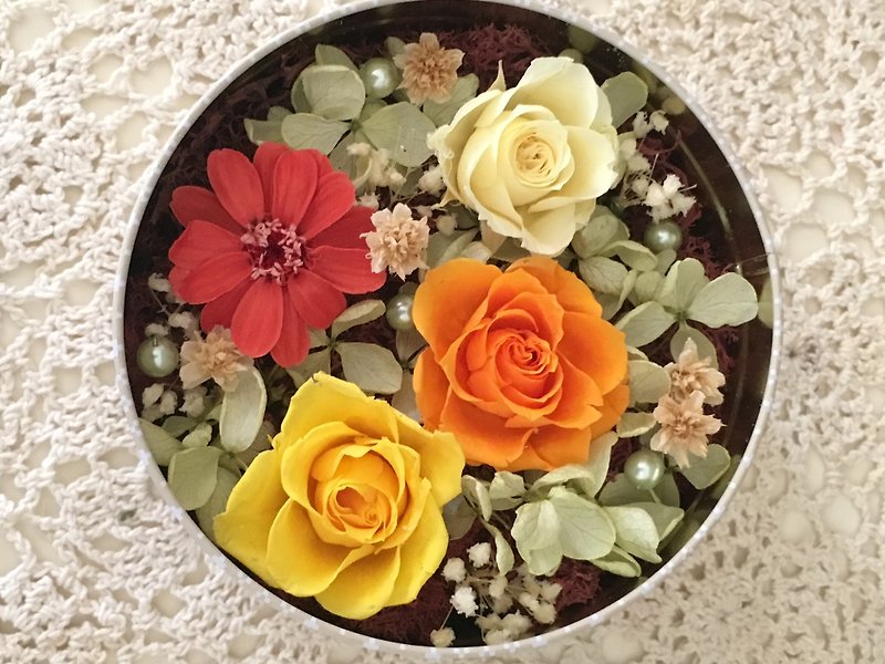 【花なしギフトボックスS】花なし/バラ/母の日/卒業式/バレンタイン/プレゼント交換/テーブル飾り - 置物 - 寄せ植え・花 
