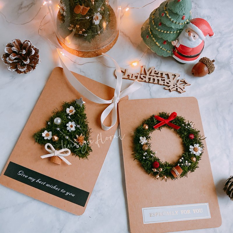 快速出貨)乾燥花 永生花 日本雪松 聖誕節 聖誕禮物 手工卡片 - 乾燥花/永生花 - 植物．花 多色