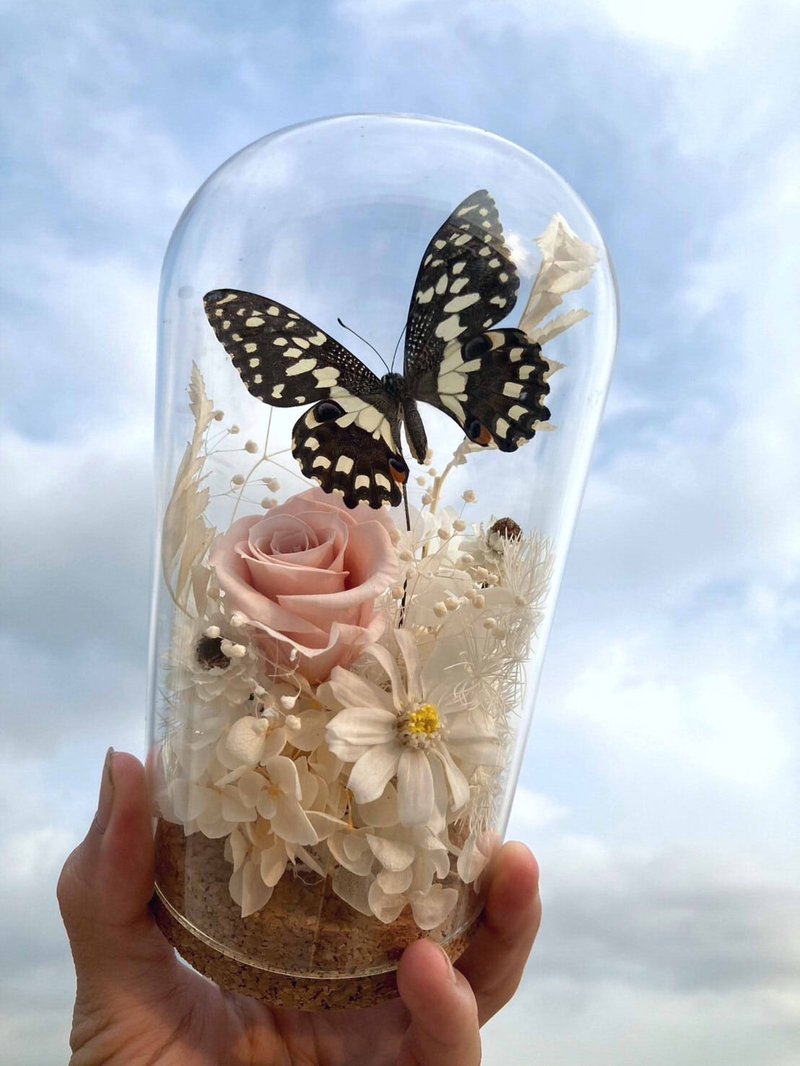 Butterfly specimen glass cup/citrus sparkling water/Chinese Valentine's Day/Father's Day gift - ช่อดอกไม้แห้ง - พืช/ดอกไม้ สึชมพู