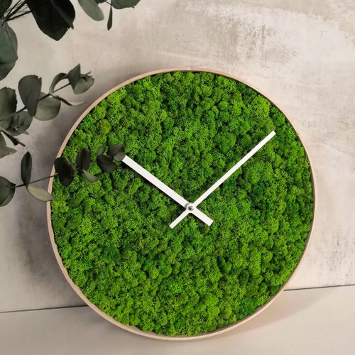 Moss wall clock, moss decor, green decor, eco decor - Shop GreenDecorFlorAl  Clocks - Pinkoi