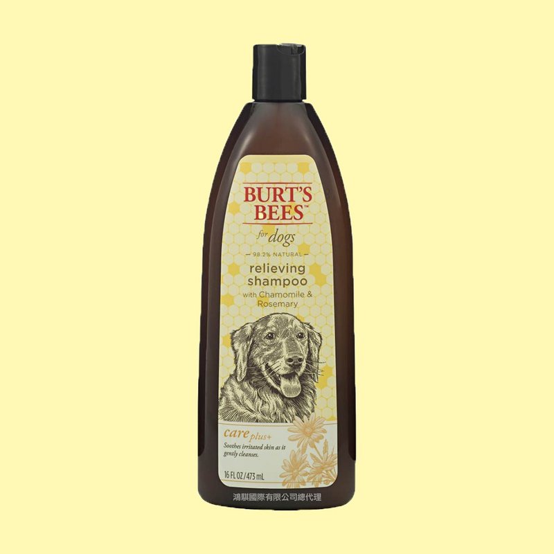 Burt's Bees Grandpa Honey Rejuvenating Body Wash 16oz - Cleaning & Grooming - Other Materials Orange