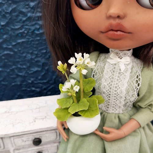 Katya Chip 娃娃屋迷你盆栽花朵 1:6 比例白色天竺葵