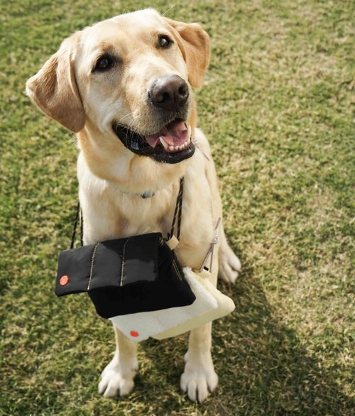 小さいピローバッグ】小型犬用お散歩バッグ クロスボディバッグ