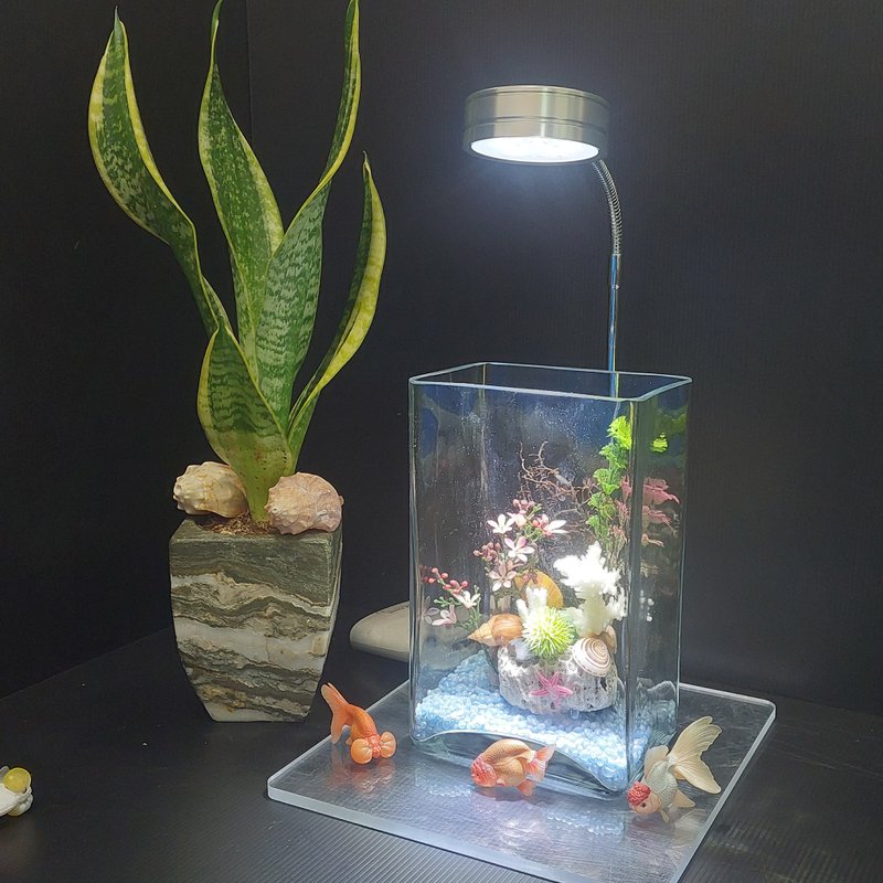 魚缸 珊瑚造景、流木水草 組合造景 AM-002-M-01 - 花瓶/花器 - 玻璃 