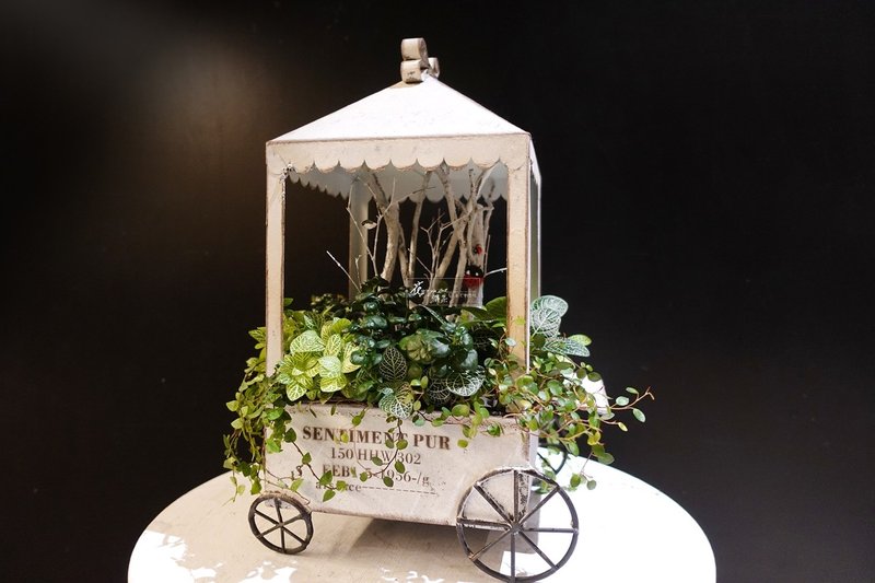 horse carriage in fairy tale - Plants - Plants & Flowers 