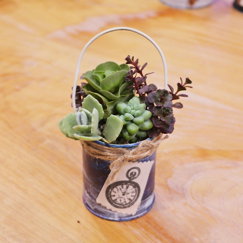 Beans Succulents - crazy grocery series - retro iron hand planting plant - small round bucket - blue - ตกแต่งต้นไม้ - โลหะ สีน้ำเงิน
