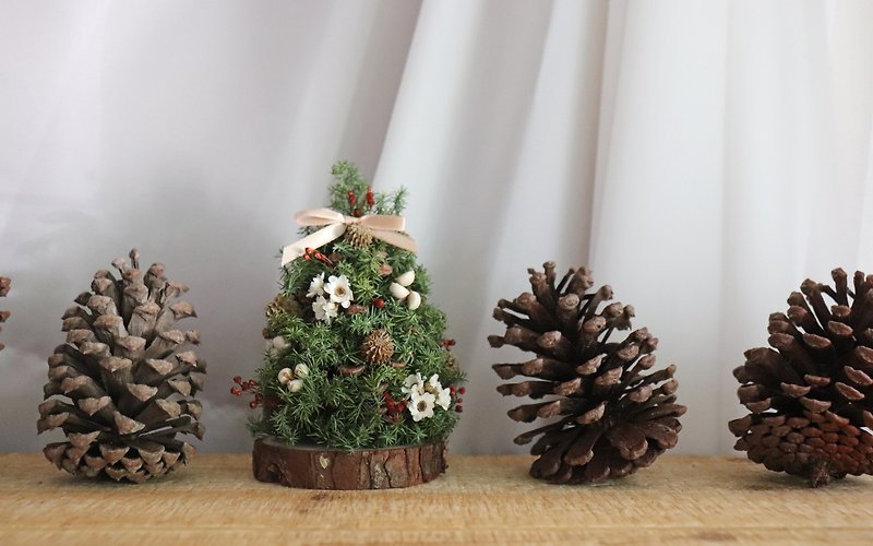 - 手工松果聖誕樹 - 乾燥花 松果 聖誕擺飾 聖誕交換禮物 (三款) - 裝飾/擺設  - 植物．花 綠色