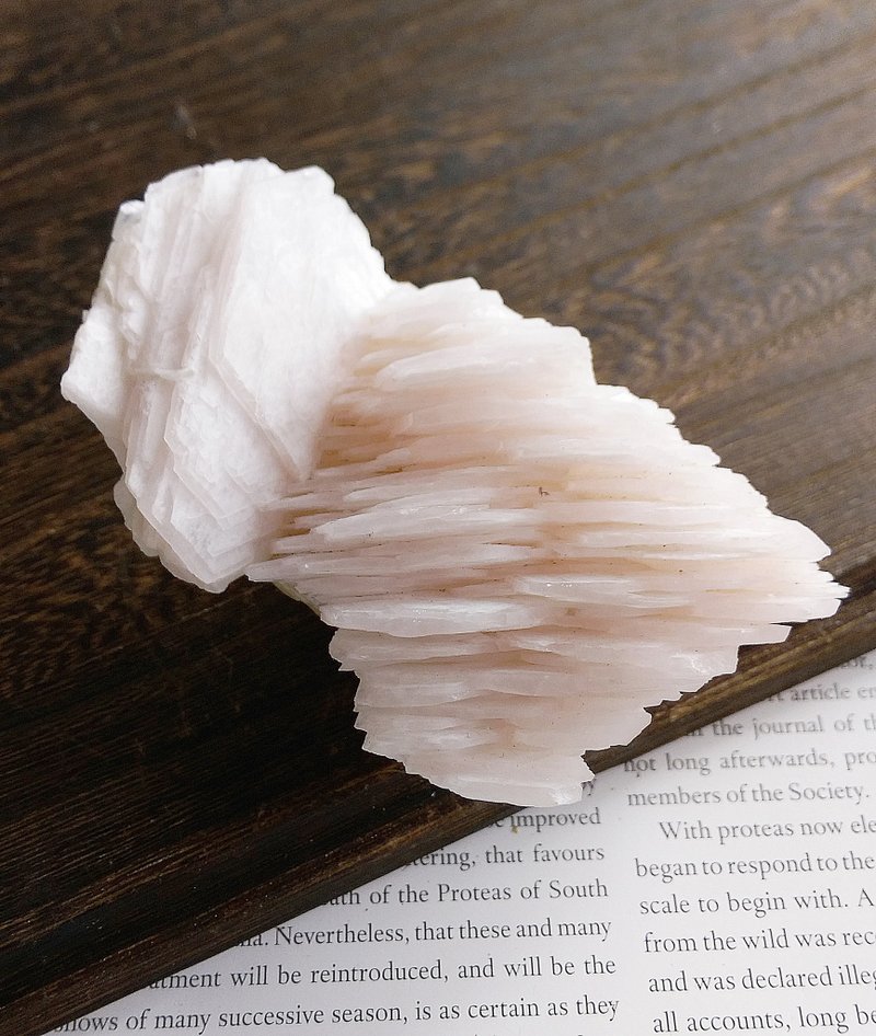 Calcite 福建產地 千層 粉色 方解石 天然礦石 原礦 - 擺飾/家飾品 - 其他材質 
