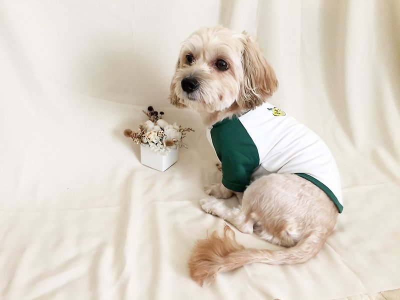 【Banana Brothers】Summer must-have cool pet clothes with contrasting colors - Clothing & Accessories - Cotton & Hemp White
