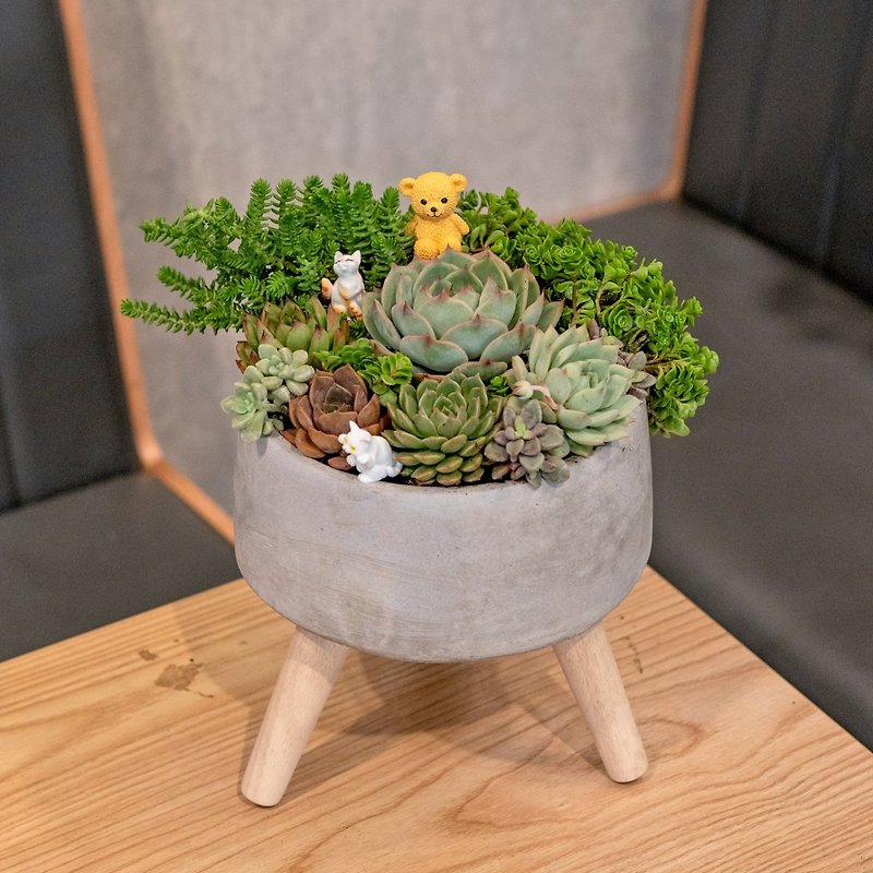 Succulent group pot wide mouth Cement pot floor-standing potted plant opening gift housewarming gift planting potted plant - Plants - Plants & Flowers 