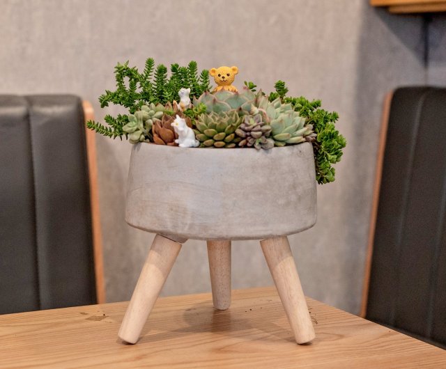 kiyoe(多肉植物寄せ植え) おしゃれ 観葉植物：多肉植物寄せ植え*切株風鉢 : 遊恵盆栽