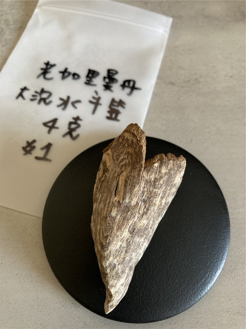 【沉水款】野生老加里曼丹沉香-大斗笠/螺殼(內可挑造型) - 擺飾/家飾品 - 木頭 