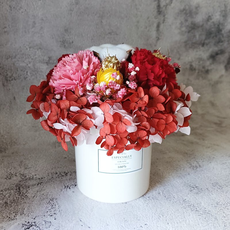 【Flower 2】Mother's Day/Preserved Flowers/Carnations/Potted Flowers/ - Dried Flowers & Bouquets - Plants & Flowers Red