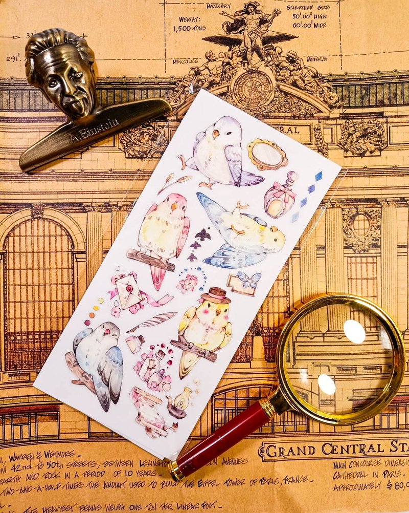 KR491情境鸚鵡Situation parrot/ Transfer Stickers - Stickers - Plastic 