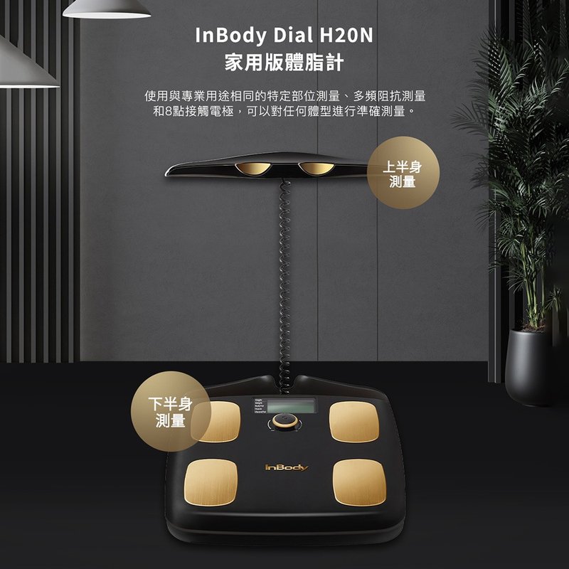 [Korea] InBody home version body fat meter H20N black gold model - Gadgets - Other Materials Black