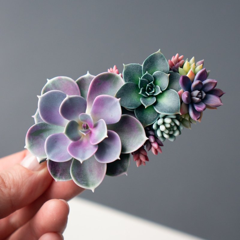 Crocodile hair clip with Echeveria Perle von Nurnberg - 髮夾/髮圈 - 其他材質 