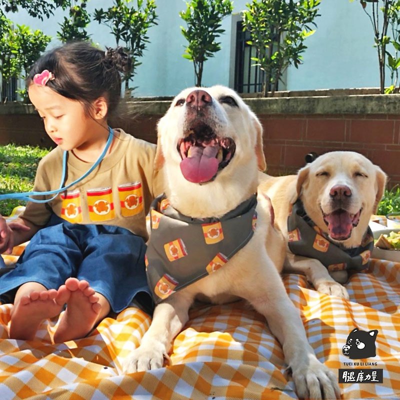 (In Stock + Pre-Order) Leg Library Power Pet Scarf-Pots and Pots are Really Delicious Made in Taiwan Original Design in Taiwan - Clothing & Accessories - Cotton & Hemp Yellow