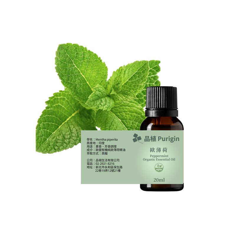 Purigin Peppermint (Peppermint) European Union organic essential oil - น้ำหอม - น้ำมันหอม 