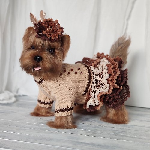 Pretty pet sweater Brown birthday dog dress for small dog Handmade cat sweater