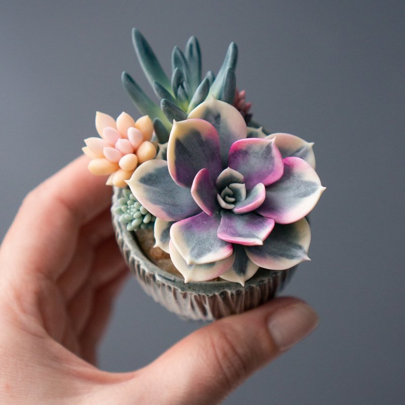 Tiny jewelry box with Echeveria Rainbow - 居家收納/收納盒/儲物盒 - 其他材質 