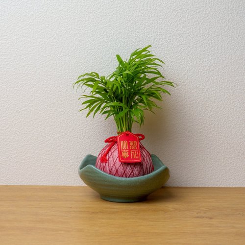 巧繪網植物館 墨綠方形接水盤 苔球盤 苔球碟 託盤 花盆 陶瓷盆 桌面擺件
