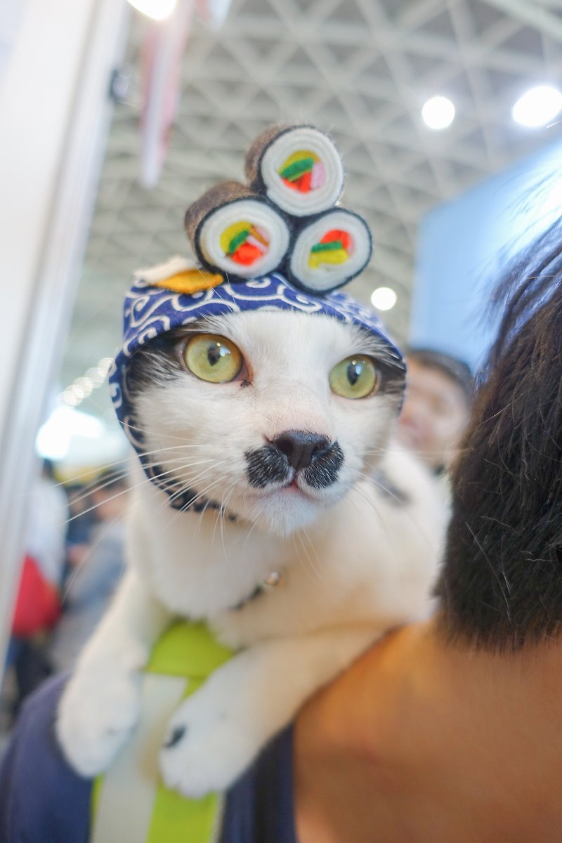 Japanese sushi pet cat and dog hat headgear*S size - ชุดสัตว์เลี้ยง - เส้นใยสังเคราะห์ สีน้ำเงิน
