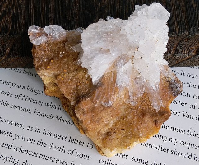 湖北省産セレナイト石膏花天然鉱石原石 - ショップ alice-gems