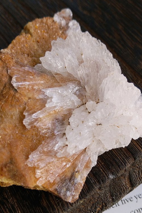 湖北省産セレナイト石膏花天然鉱石原石 - ショップ alice-gems