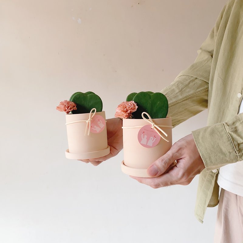 母の日の小さな鉢植えユーフォルビア コルディフォリア 母の日ギフトを一鉢で販売 - 観葉植物 - 寄せ植え・花 ピンク