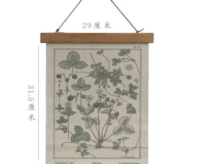 植物圖鑑美式復古卷軸掛畫牆面裝飾畫免打孔含木質畫框叁杉｜壁貼