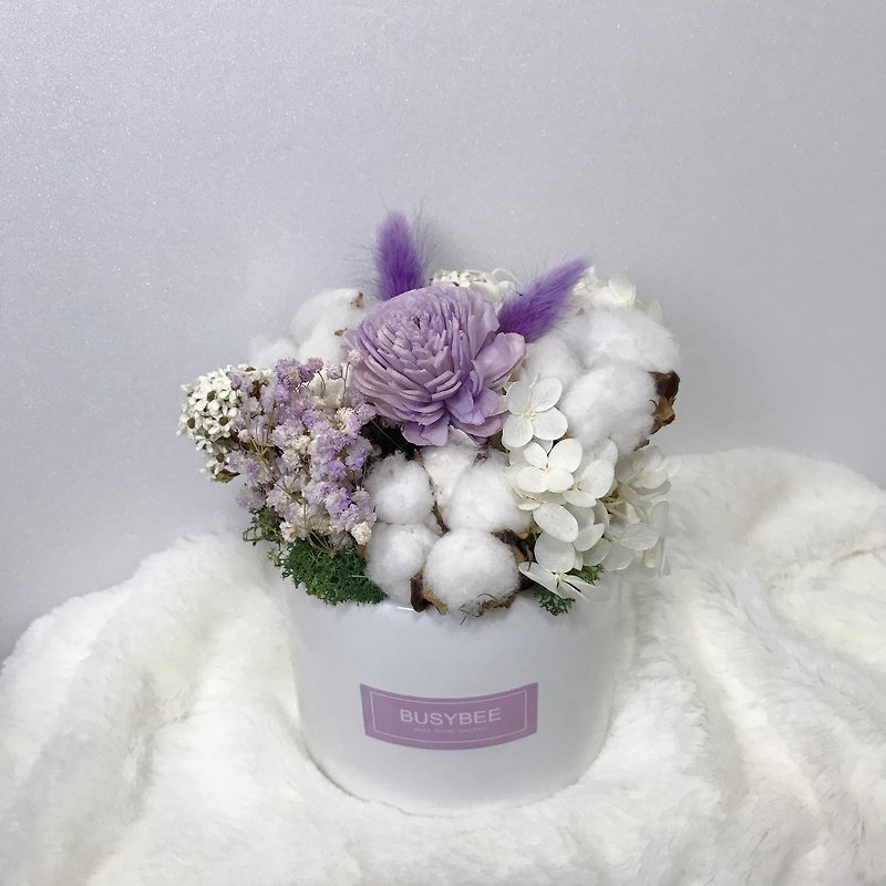 Purple Elf Dry Potted Flower - Plants - Plants & Flowers 