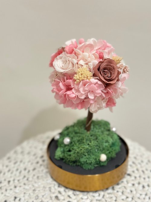 Miau Flowers 喵喵花室 溫柔永生花繡球燈樹玻璃罩 無線小夜燈 新年禮物 辦公室療癒小物