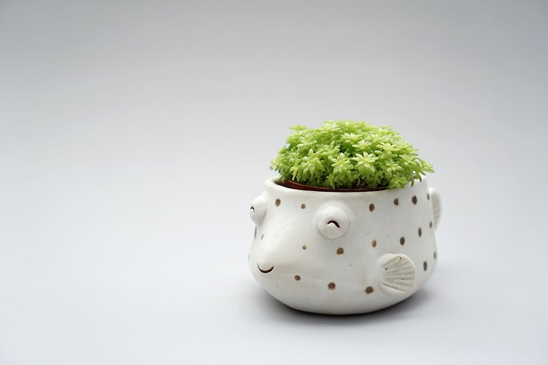 Puffer pot , Puffer plant pot , Handmade ceramics , pottery  - Pottery & Ceramics - Pottery Yellow