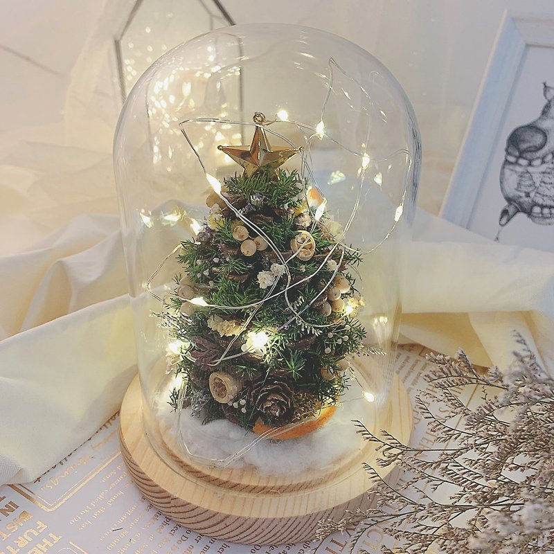 Glass cup pine cone Christmas tree | Christmas gift dry flowers eternal flowers Christmas gift exchange gifts - ช่อดอกไม้แห้ง - พืช/ดอกไม้ 