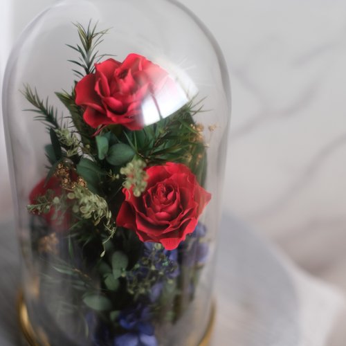 Hay Yeh Flower 海曄花藝 【經典紅玫瑰】永生花玻璃罩 日本進口永生花